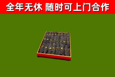 昭阳烟酒回收海参.jpg